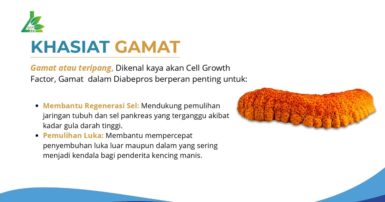 Khasiat Gamat